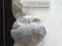 a-dacia-felicia